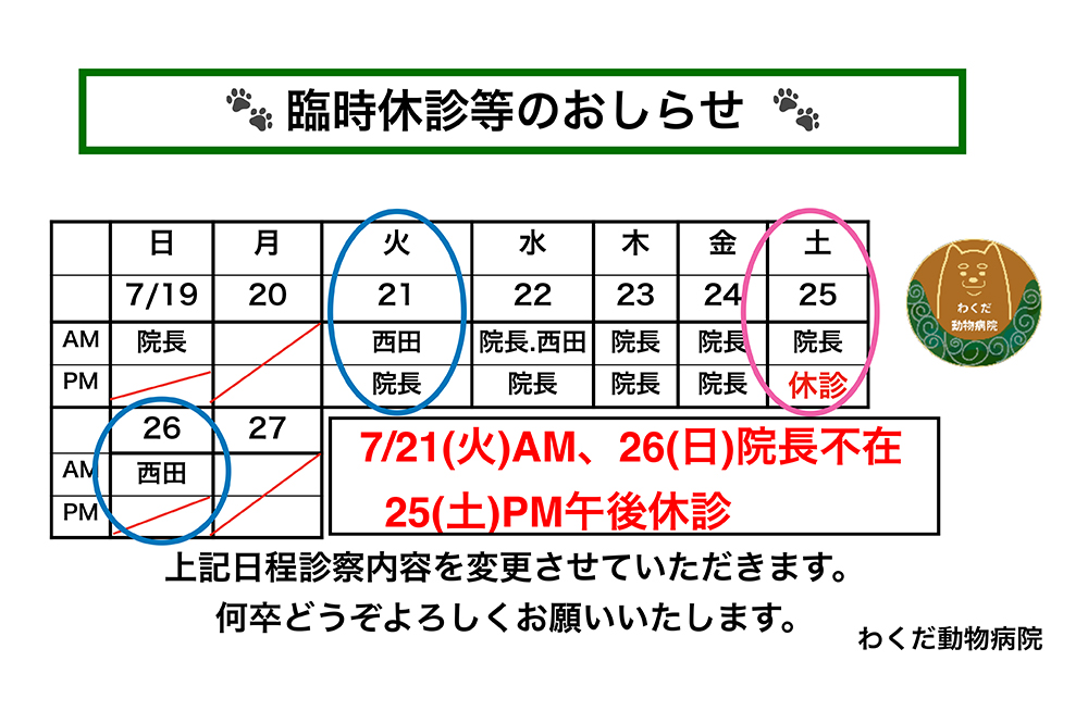 7月の休診等のお知らせ