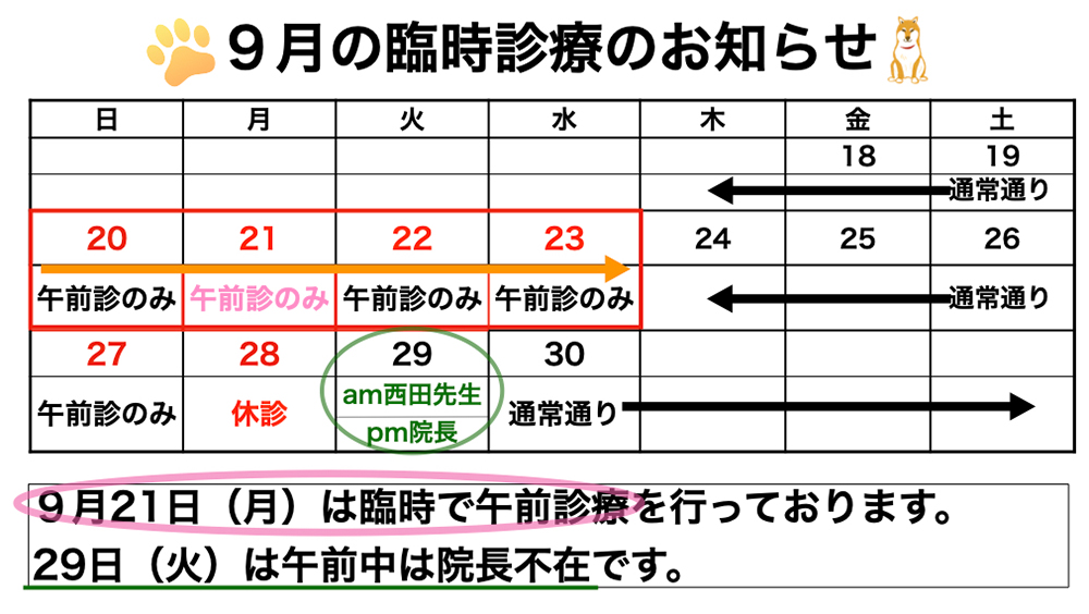 9月の臨時診療について